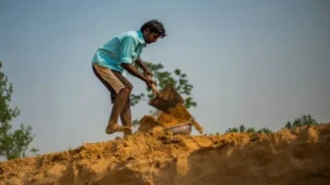 employment guarantee scheme