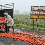 25 quintals of tomatoes thrown on the road after getting a price of Rs 4