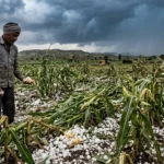 जालना अवकाळी पाऊस (Jalna Unseasonal Rain)