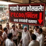 जालना बाजार भाव, गव्हाचे दर जालना, Jalna Wheat Market Price