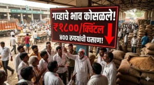 जालना बाजार भाव, गव्हाचे दर जालना, Jalna Wheat Market Price