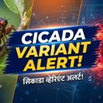 Cicada COVID Variant: 'सिकाडा' ने जगाची चिंता वाढवली! लक्षणे आणि बचावाचे उपाय जाणून घ्या
