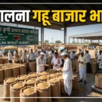 जालना गहू बाजार भाव जालना बाजार भाव, गव्हाचे दर जालना, Jalna Wheat Market Price