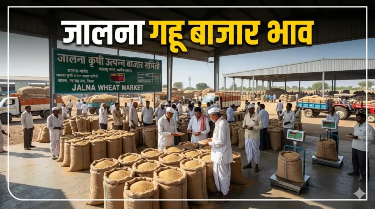 जालना गहू बाजार भाव जालना बाजार भाव, गव्हाचे दर जालना, Jalna Wheat Market Price