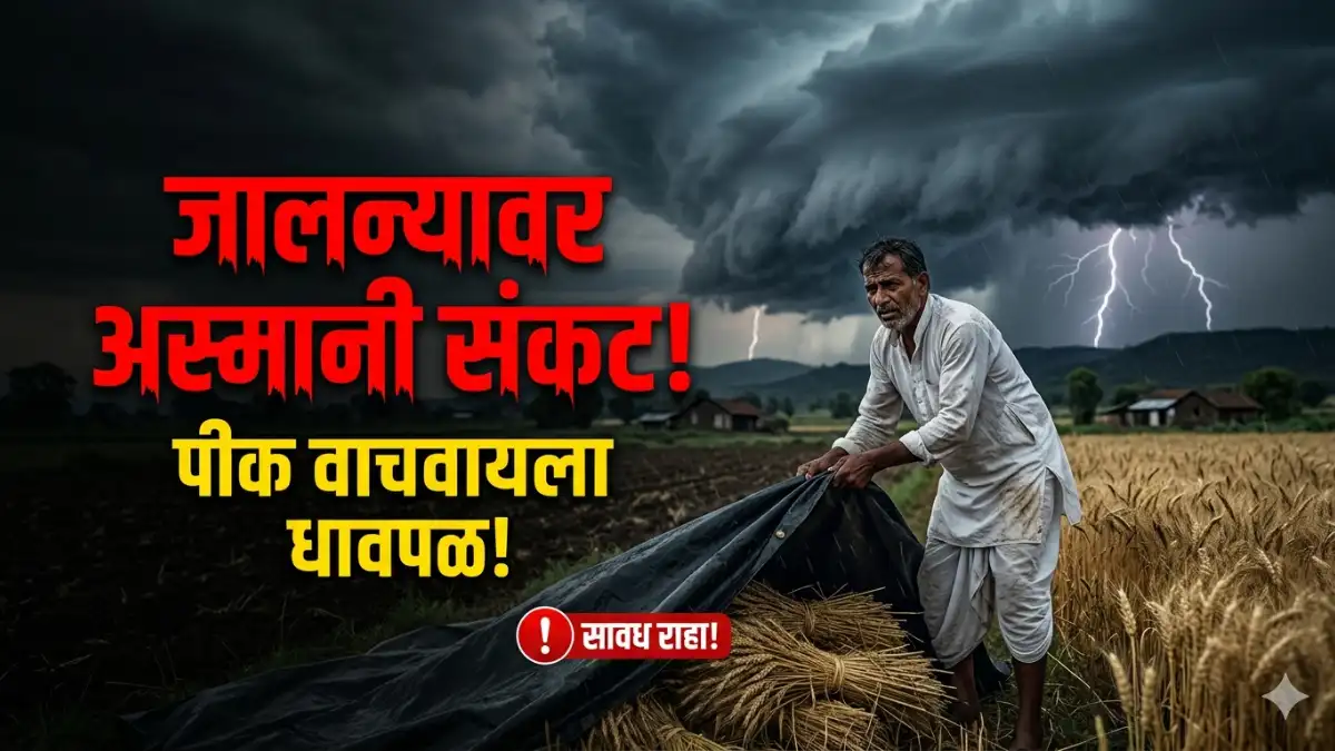 जालना हवामान अंदाज: जिल्ह्यात अवकाळी पावसाचा इशारा, शेतकऱ्यांनी अशी घ्यावी काळजी. Jalna unseasonal rain imd update