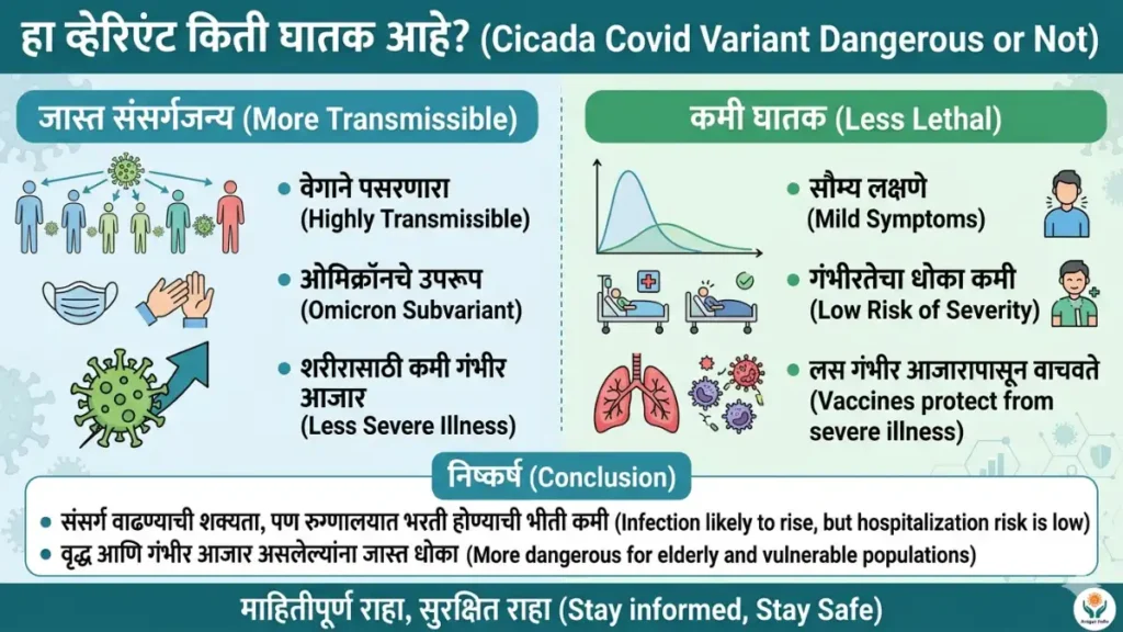 cicada covid variant Cicada Covid Variant, New Covid Variant Cicada, Cicada Covid Variant Dangerous, Cicada Covid Variant Is Dangerous Or Not, Cicada Covid Variant Death Rate, Cicada Covid Variant Symptoms