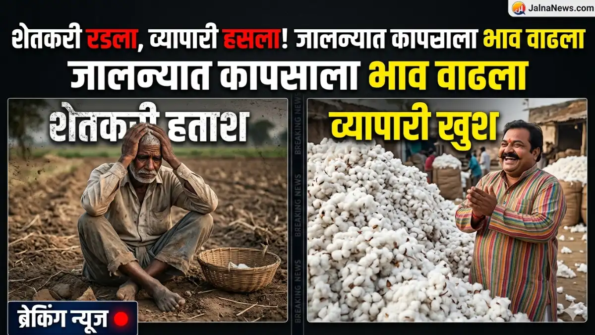 Jalna Cotton Price hike Update जालन्यात कापसाच्या दरात मोठी वाढ; शेतकऱ्यांचे मोठे नुकसान!