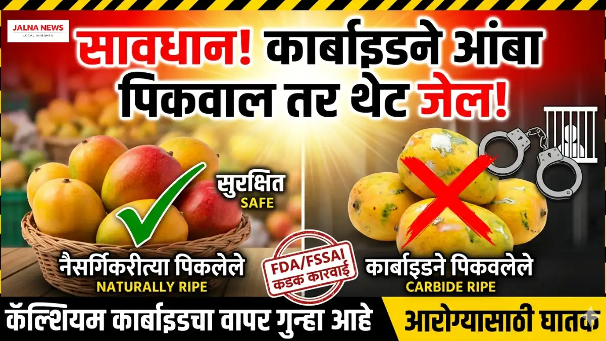 सावधान! &Amp;Apos;Carbide Mango Ripe Chemical&Amp;Apos; फॅन्डा पडणार महागात; कार्बाइडने आंबा पिकवणाऱ्या विक्रेत्यांवर आता थेट फौजदारी! Jalna News Today Update