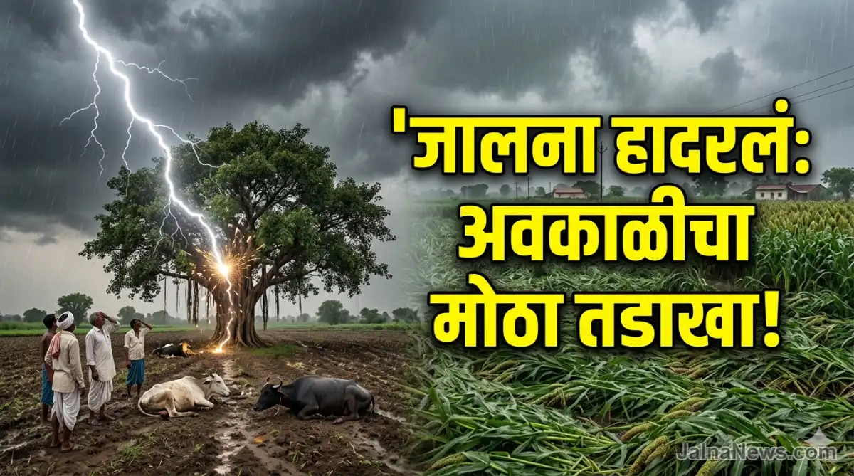 Jalna News Weather Update: जालन्यात अवकाळी पावसाचा हाहाकार, 5 जनावरे ठार